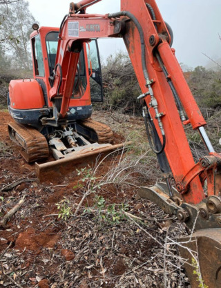 Boitano Excavation