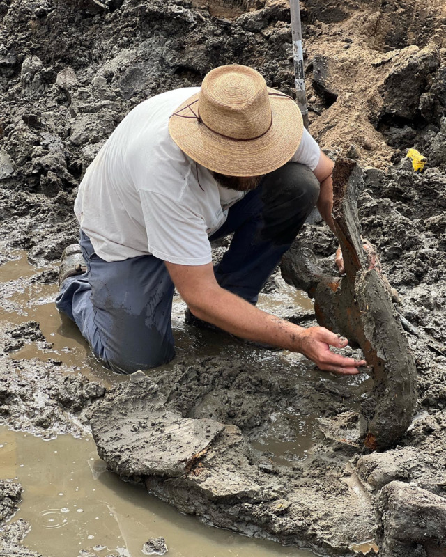 Mastodon Dig Grand Rapids Museum2